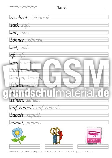 DSS_2S_FW_100_NR_57.pdf